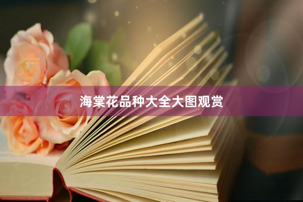 海棠花品种大全大图观赏